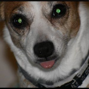 Meet your Posher, Gail